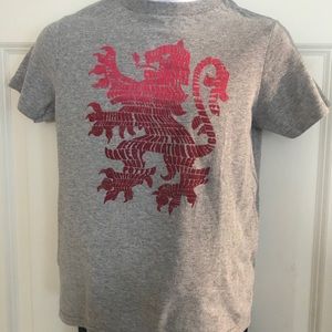 Harry Potter Grifindor Boys Short Sleeve Shirt